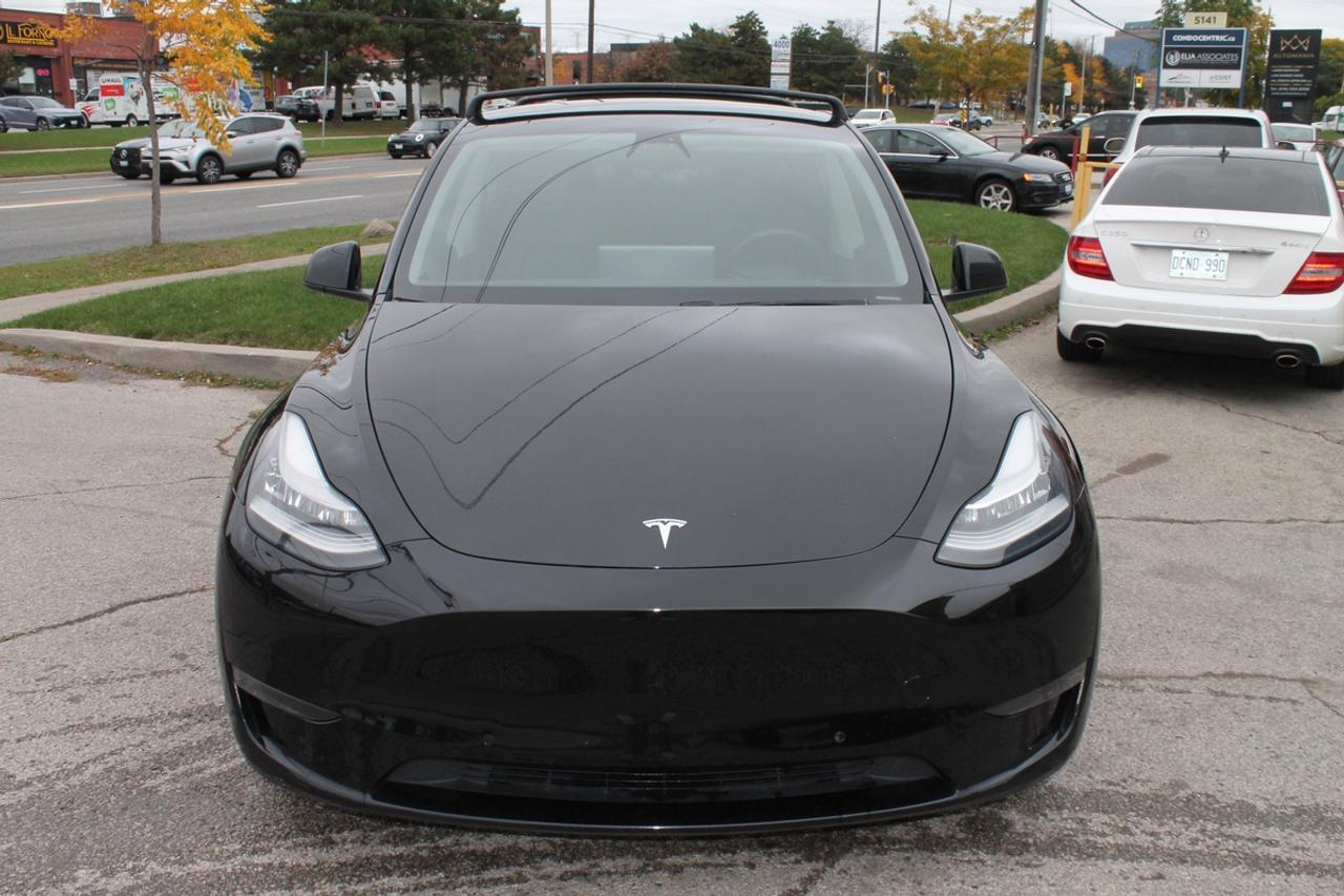 2020 Tesla Model Y PERFORMANCE Photo