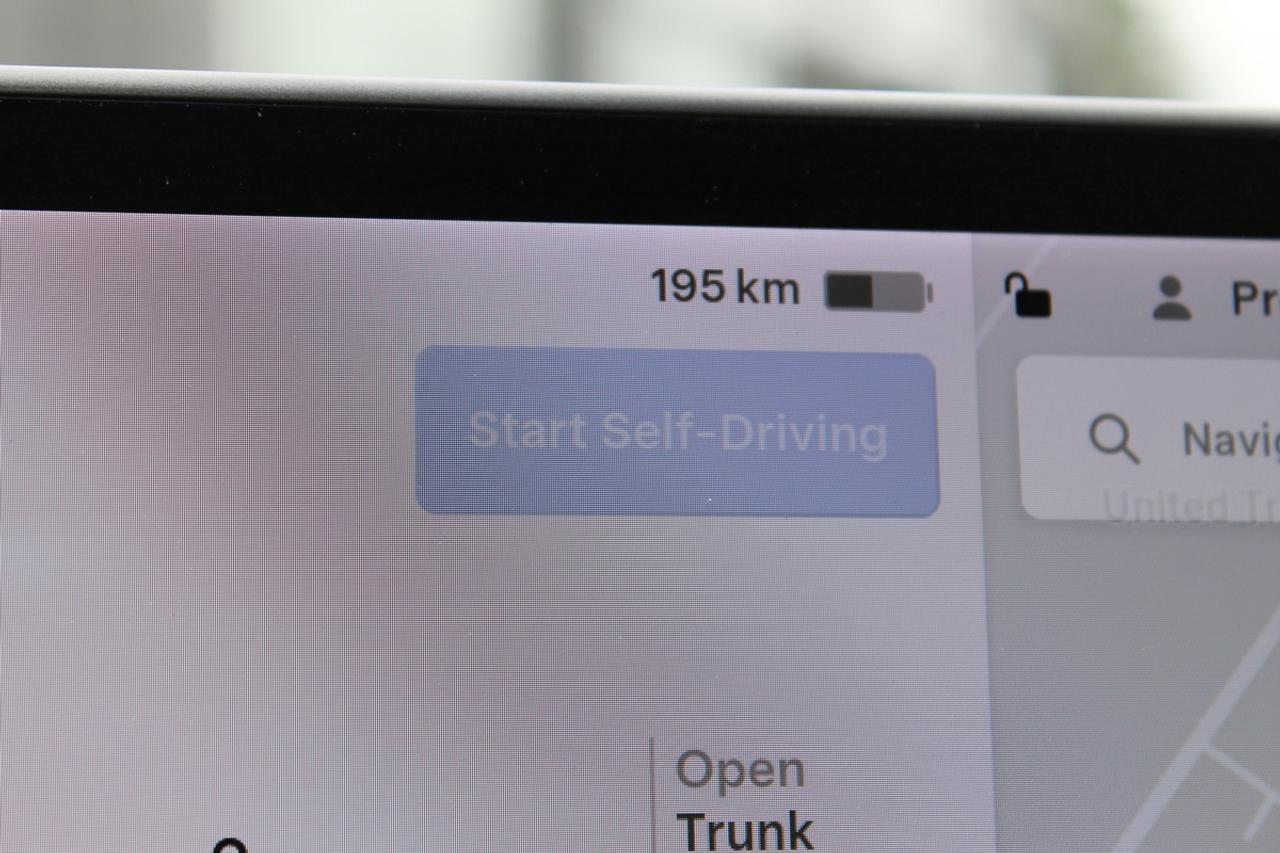 2020 Tesla Model Y PERFORMANCE Photo
