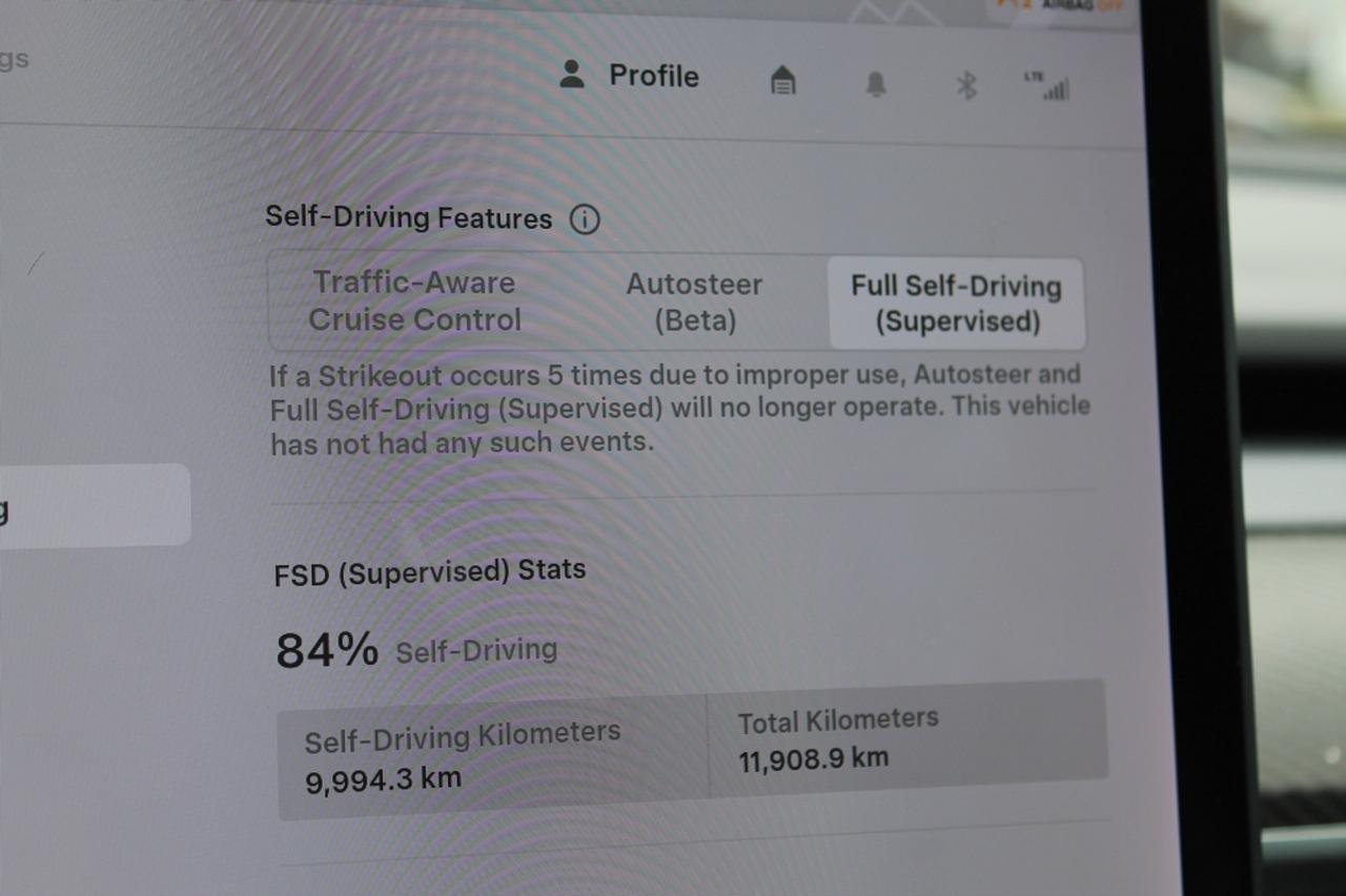 2020 Tesla Model Y PERFORMANCE Photo