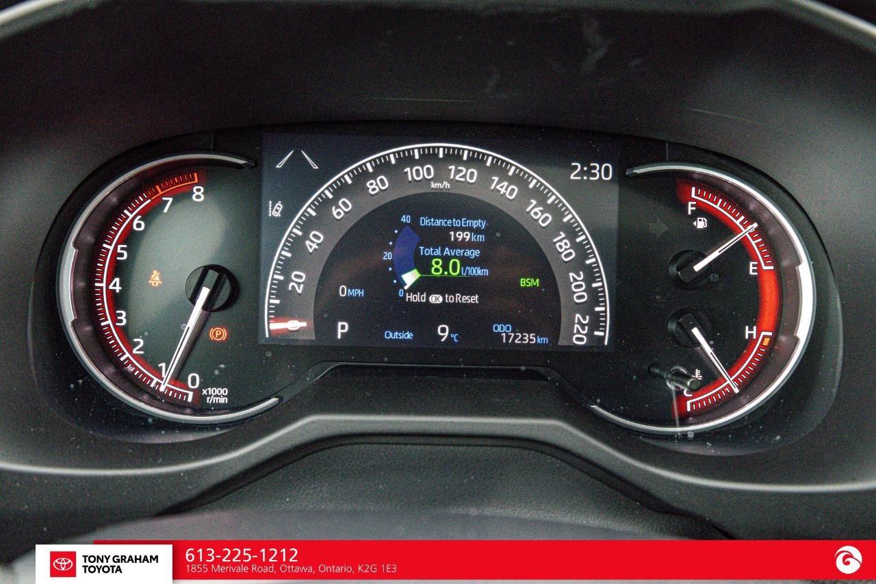 2024 Toyota RAV4 XLE Photo