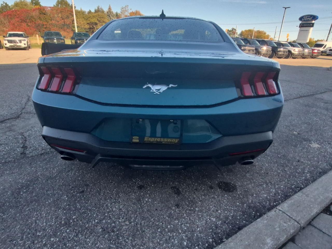 2026 Ford Mustang 10-SPEED! 19" UPGRADED RIMS! FASTBACK! COPILOT! Photo