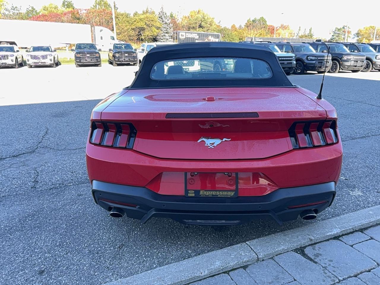 2026 Ford Mustang 315HP! CONVERTIBLE! 10-SPEED AUTO! 19" RIMS! Photo