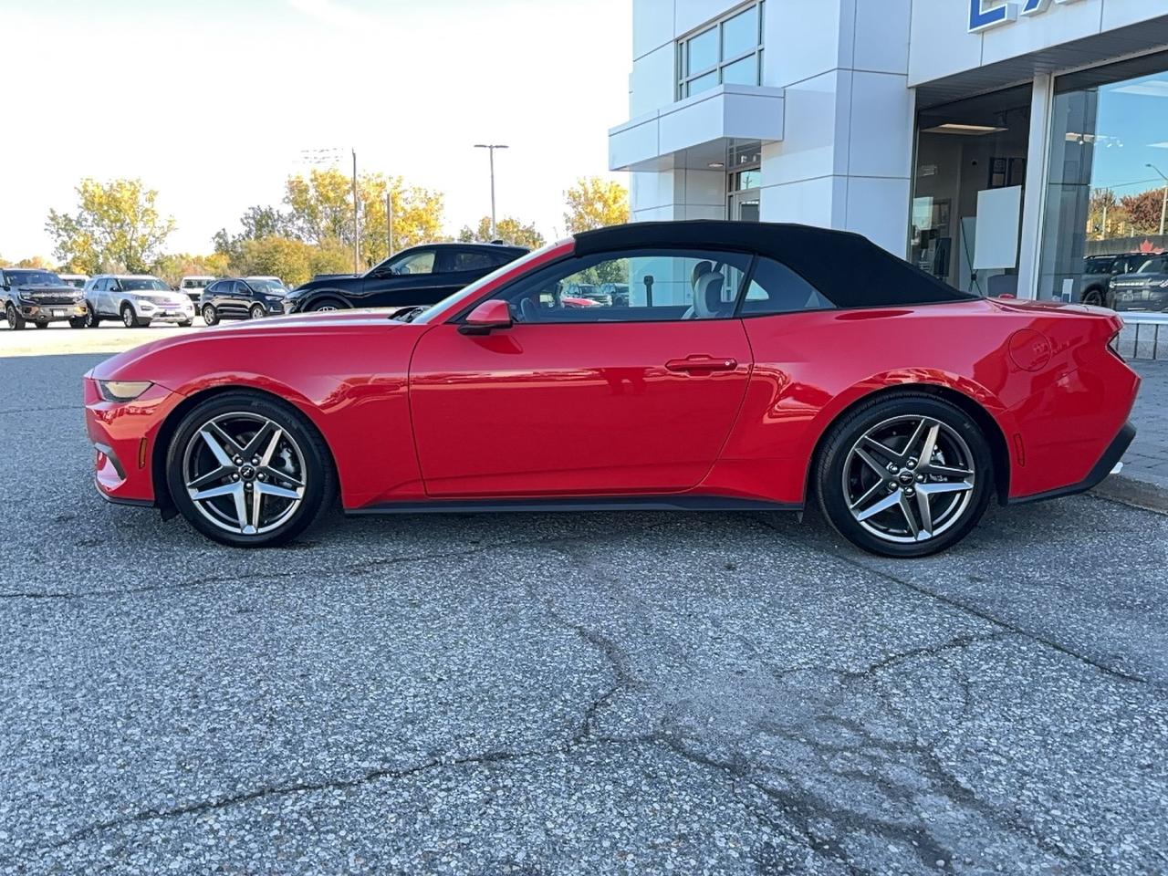 2026 Ford Mustang 315HP! CONVERTIBLE! 10-SPEED AUTO! 19" RIMS! Photo
