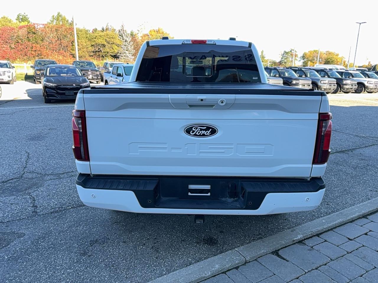 2026 Ford F-150 302A! BLACK PACK! 18" RIMS! BED UTILITY! HTD SEATS Photo