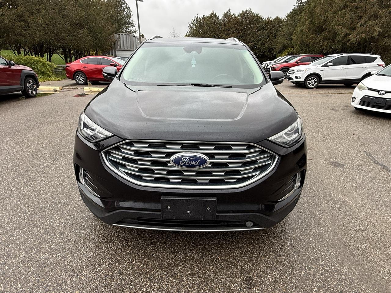 2019 Ford Edge SEL Photo