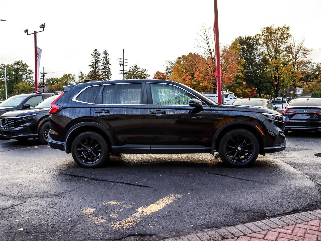 2024 Honda CR-V Hybrid EX-L AWD Photo