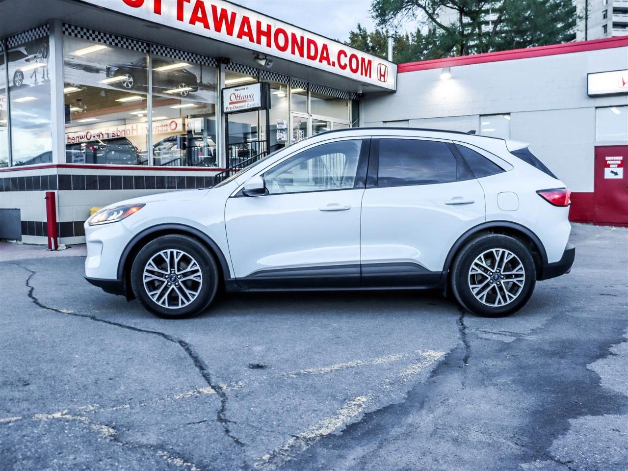 2020 Ford Escape SEL FWD Photo4