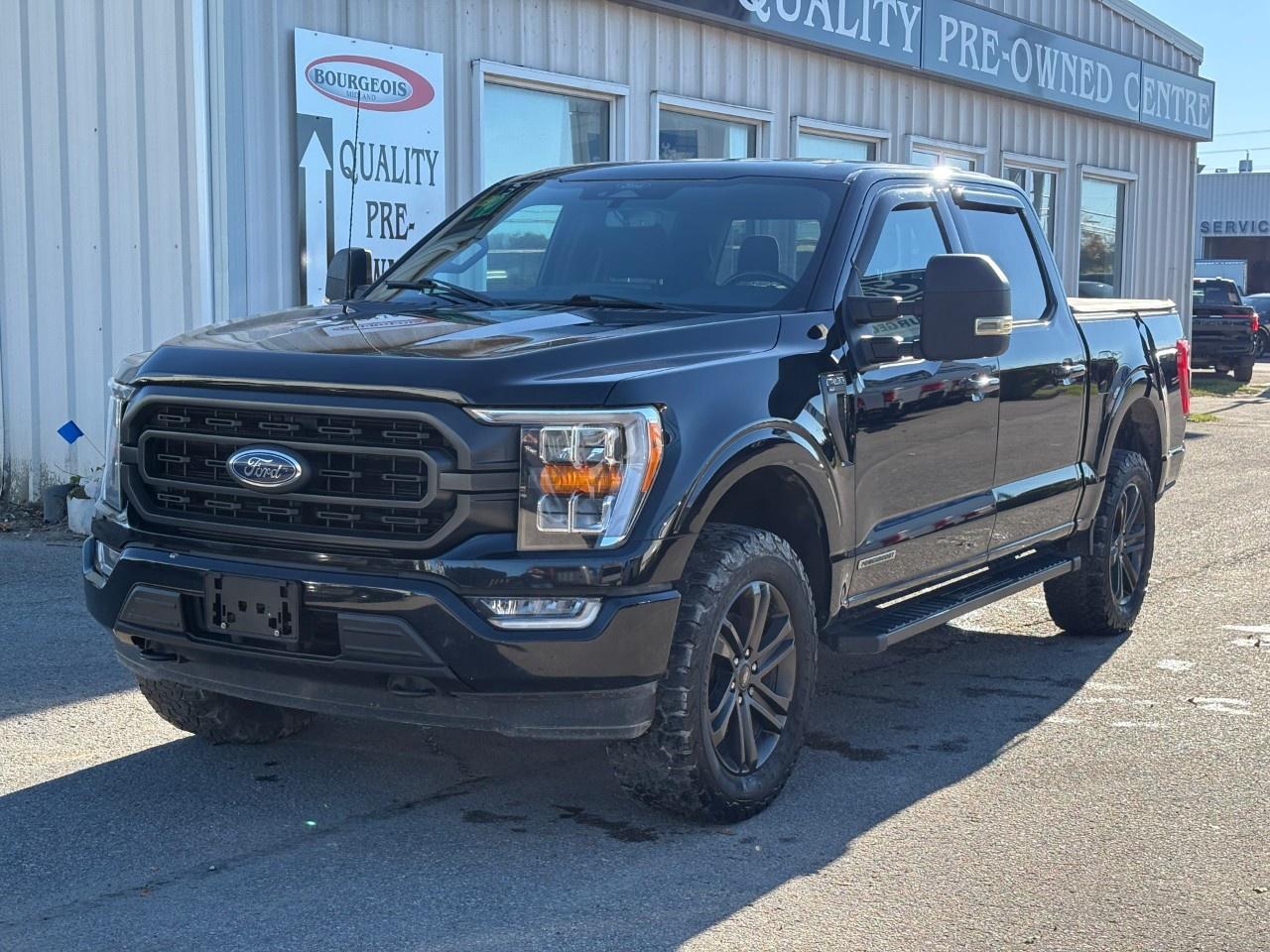 2022 Ford F-150 XLT 4WD SuperCrew 5.5' Box Photo5