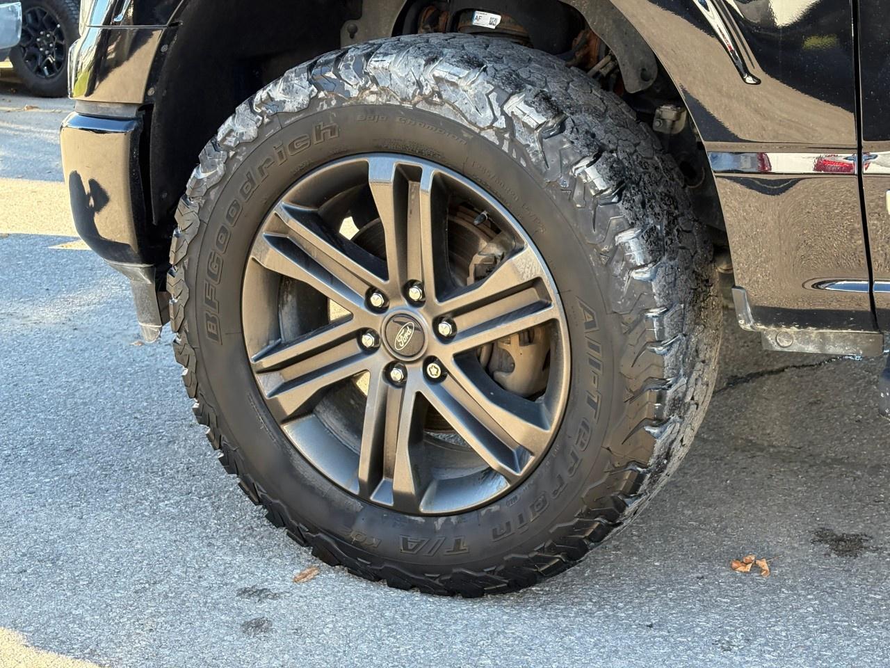 2022 Ford F-150 XLT 4WD SuperCrew 5.5' Box Photo