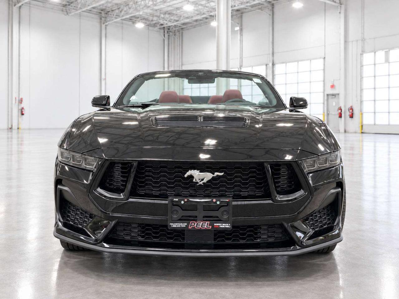 2025 Ford Mustang GT Premium Convertible | 6Spd | Red Leather | RWD Photo