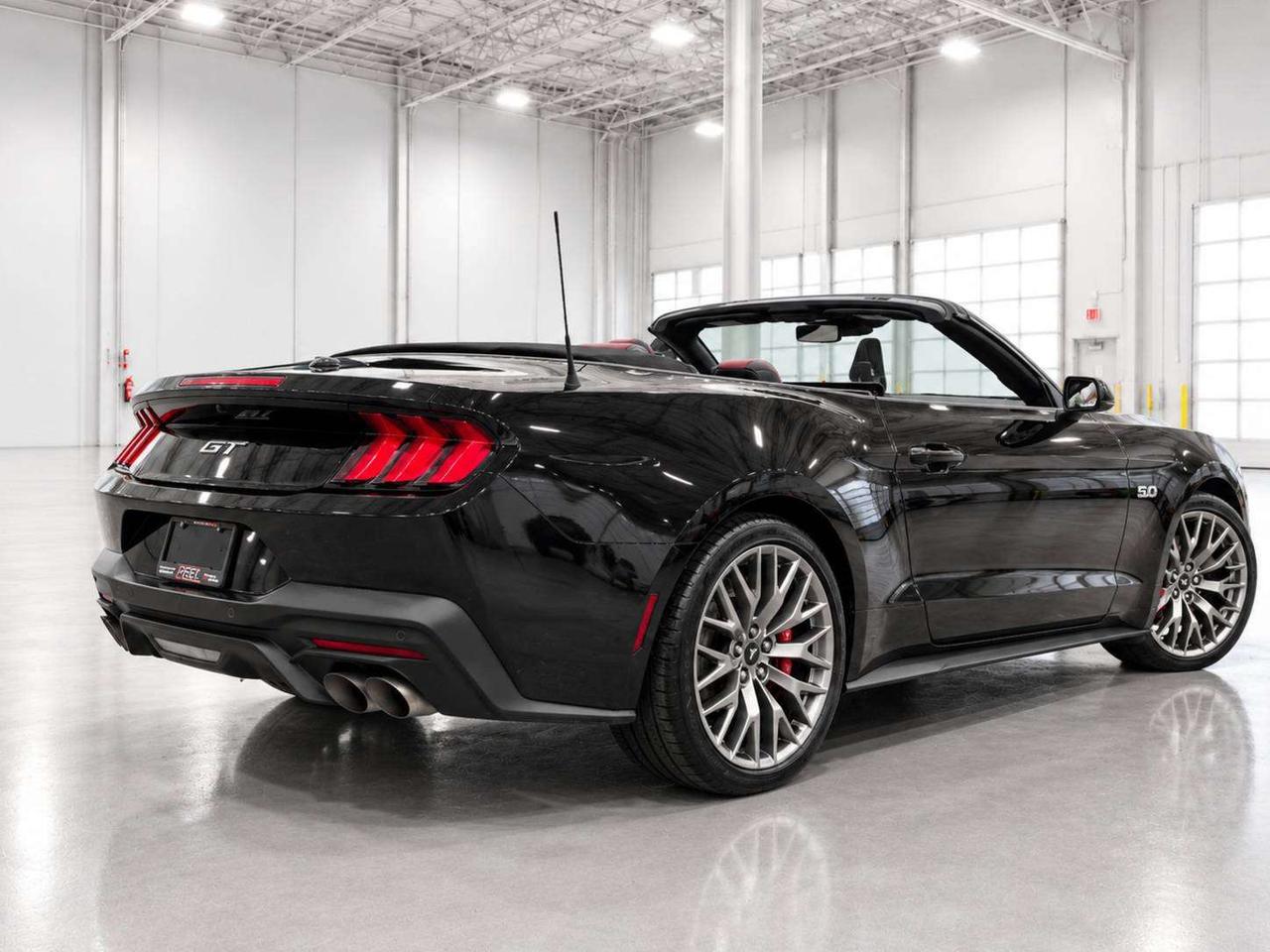 2025 Ford Mustang GT Premium Convertible | 6Spd | Red Leather | RWD Photo