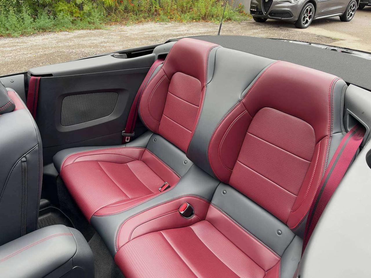 2025 Ford Mustang GT Premium Convertible | 6Spd | Red Leather | RWD Photo