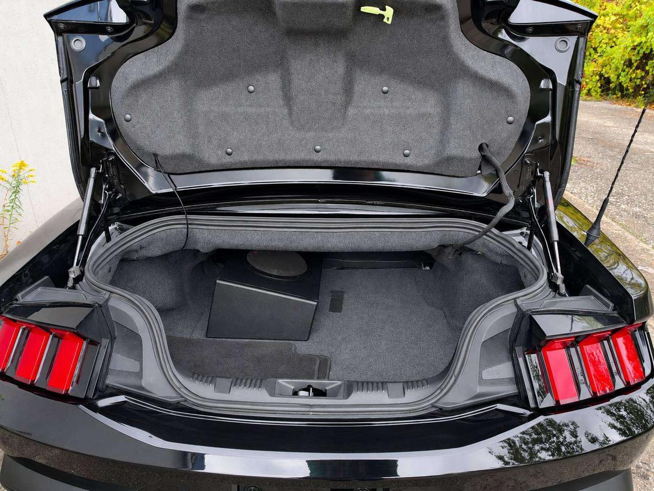 2025 Ford Mustang GT Premium Convertible | 6Spd | Red Leather | RWD Photo