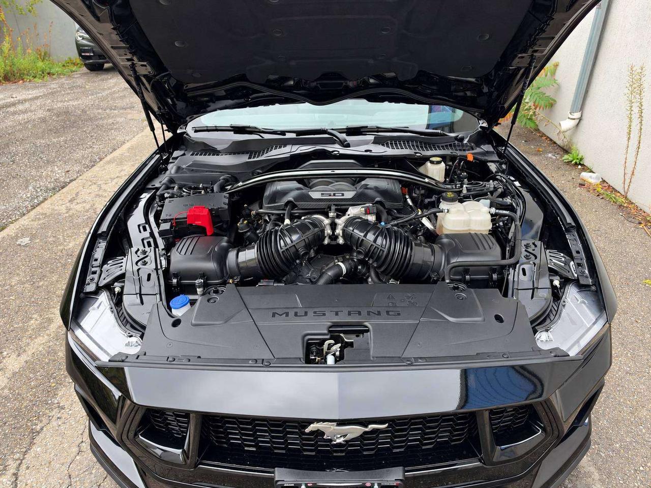 2025 Ford Mustang GT Premium Convertible | 6Spd | Red Leather | RWD Photo