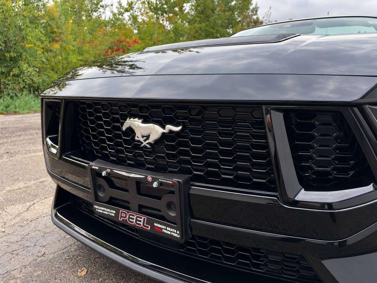 2025 Ford Mustang GT Premium Convertible | 6Spd | Red Leather | RWD Photo