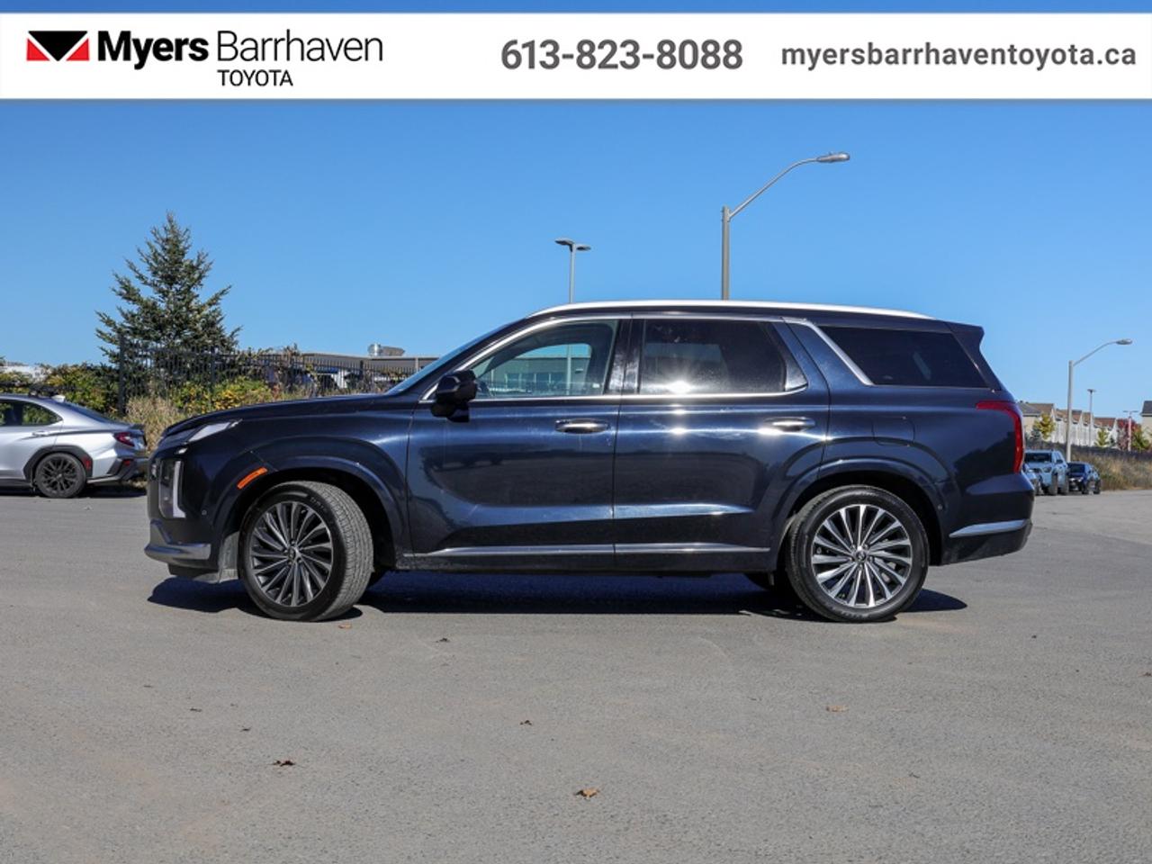 2023 Hyundai PALISADE Ultimate Calligraphy 7-Passenger  - $293 B/W Photo