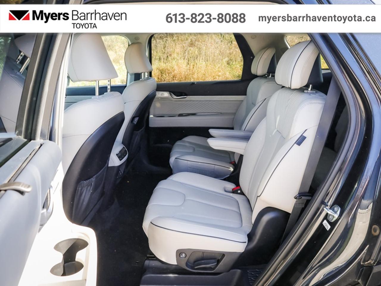 2023 Hyundai PALISADE Ultimate Calligraphy 7-Passenger  - $293 B/W Photo