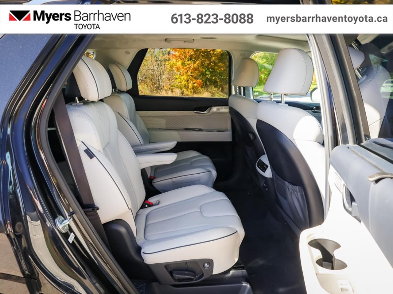 2023 Hyundai PALISADE Ultimate Calligraphy 7-Passenger  - $293 B/W Photo