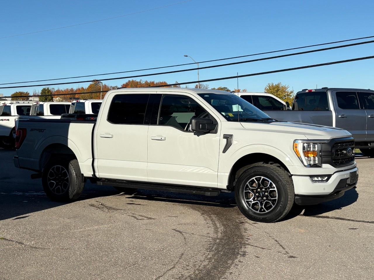 2023 Ford F-150 XLT 4WD SuperCrew 5.5' Box Photo