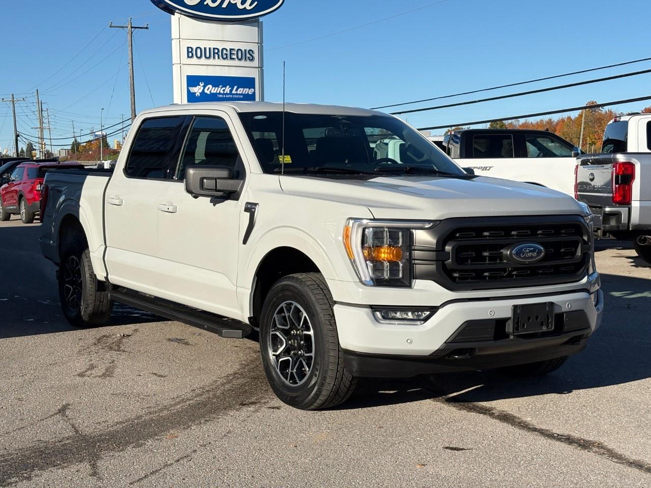 2023 Ford F-150 XLT 4WD SuperCrew 5.5' Box Photo
