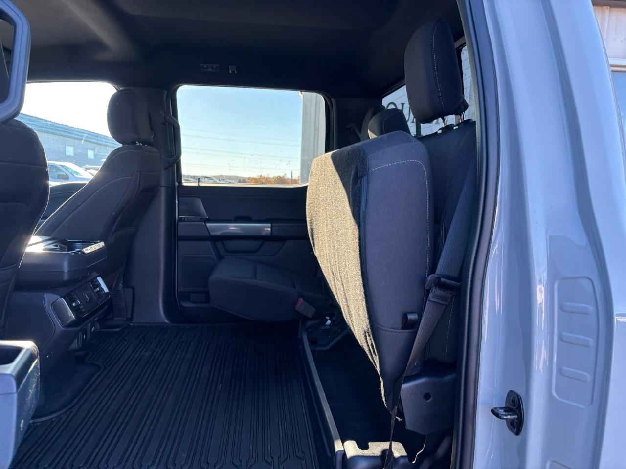 2023 Ford F-150 XLT 4WD SuperCrew 5.5' Box Photo