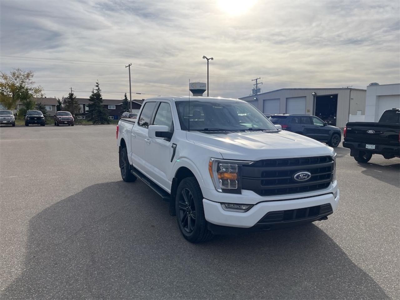 2022 Ford F-150  Photo2