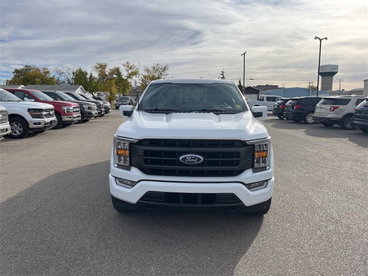 2022 Ford F-150  Photo3