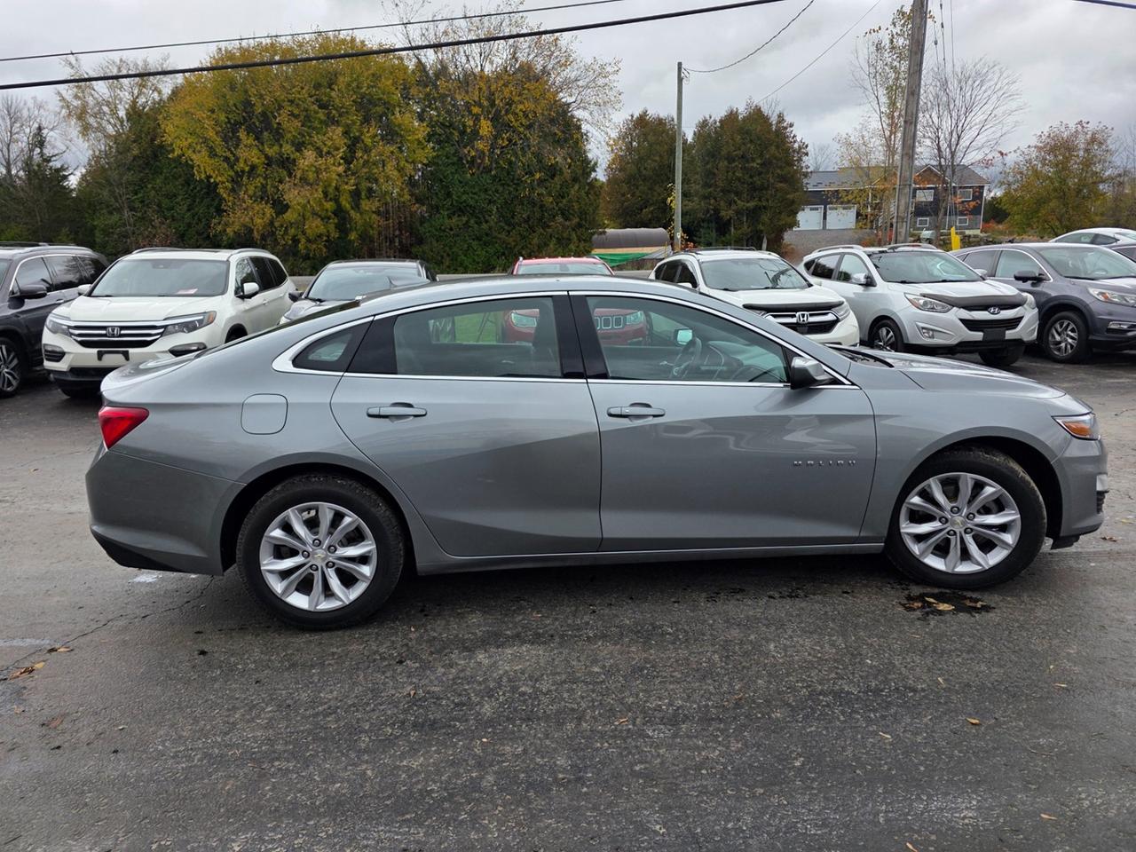 2023 Chevrolet Malibu 1LT Photo
