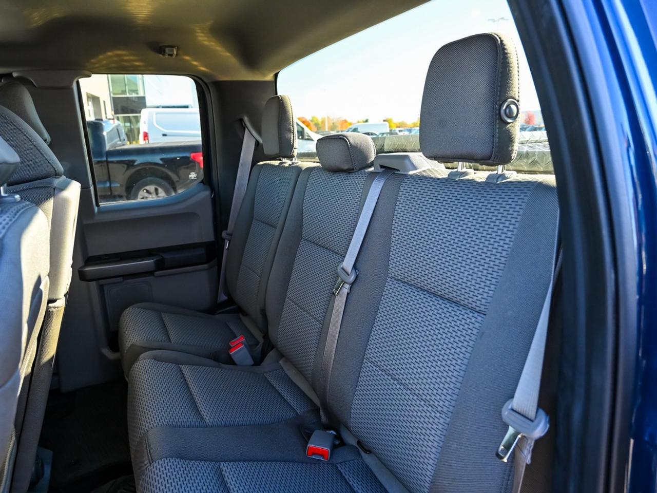 2019 Ford F-150 XLT Photo