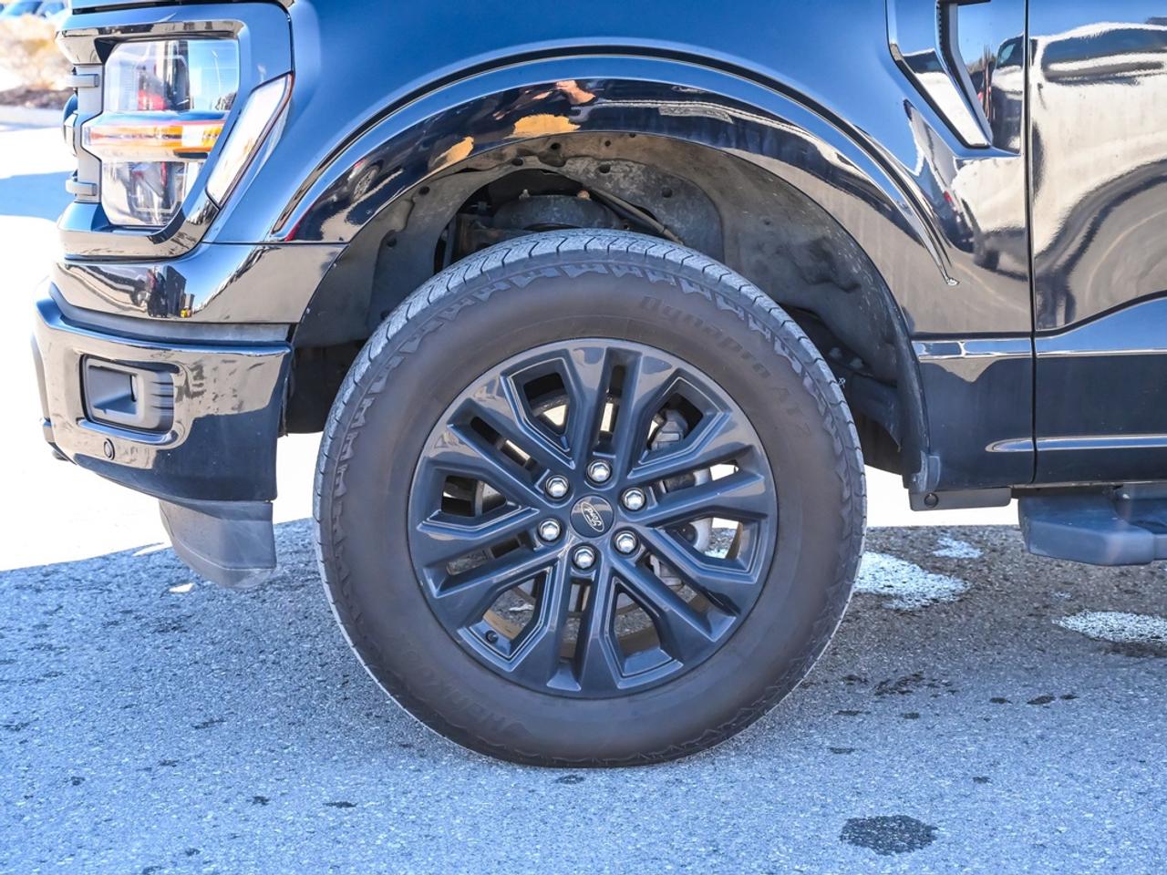 2024 Ford F-150 XLT Photo