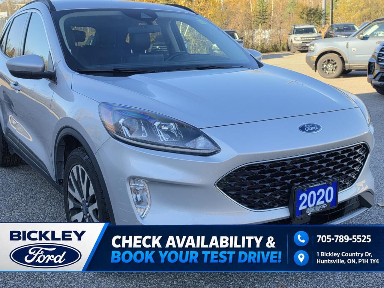 2020 Ford Escape SEL Photo