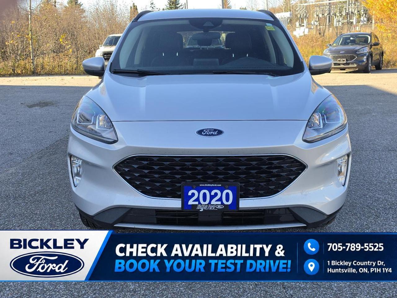 2020 Ford Escape SEL Photo5