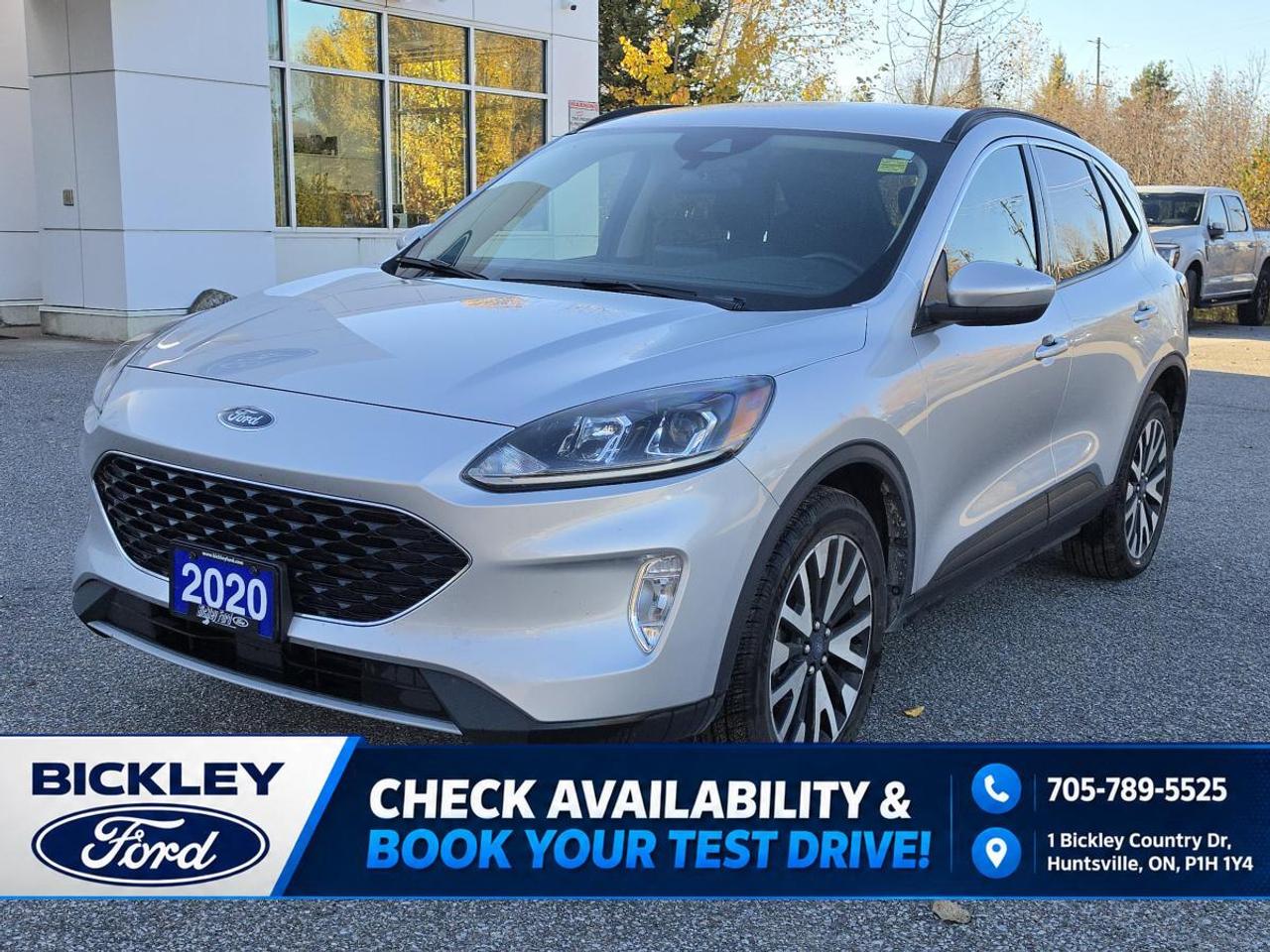 2020 Ford Escape SEL Photo