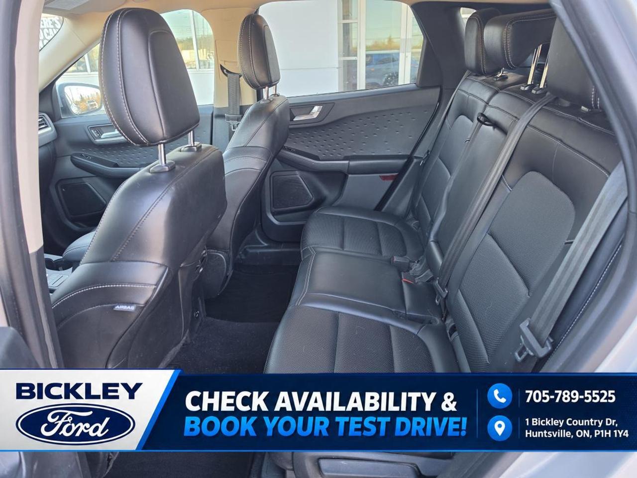 2020 Ford Escape SEL Photo