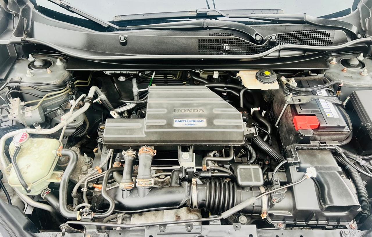 2019 Honda CR-V LX Photo