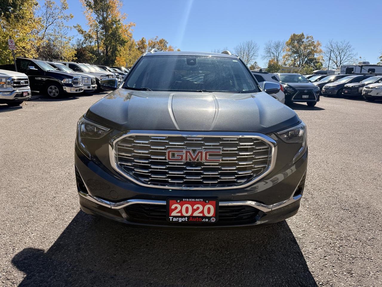 2020 GMC Terrain Denali Photo