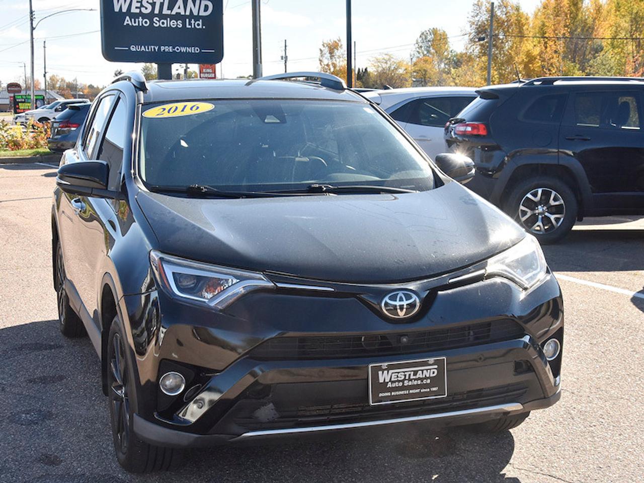 2016 Toyota RAV4 LIMITED  Photo