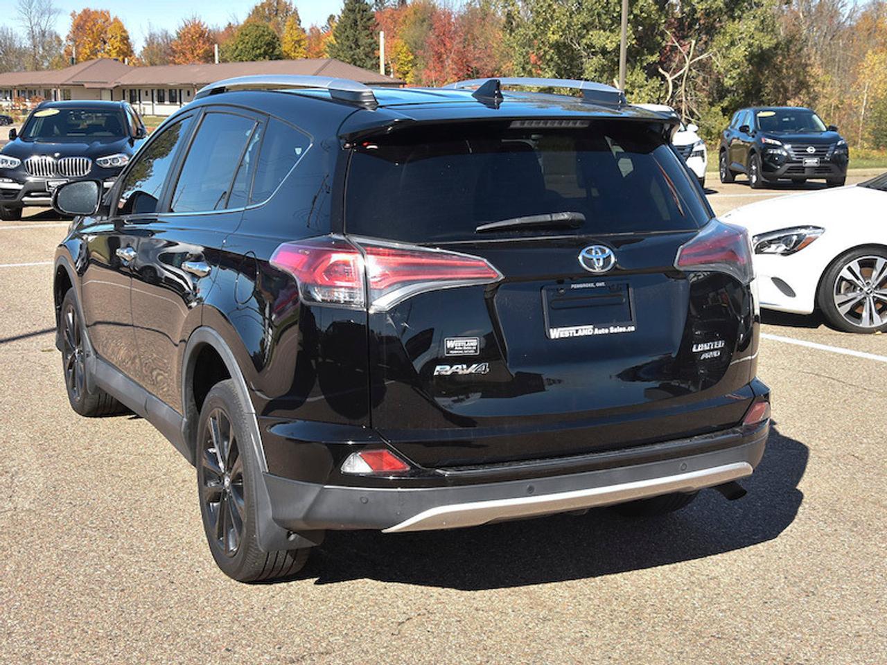 2016 Toyota RAV4 LIMITED  Photo