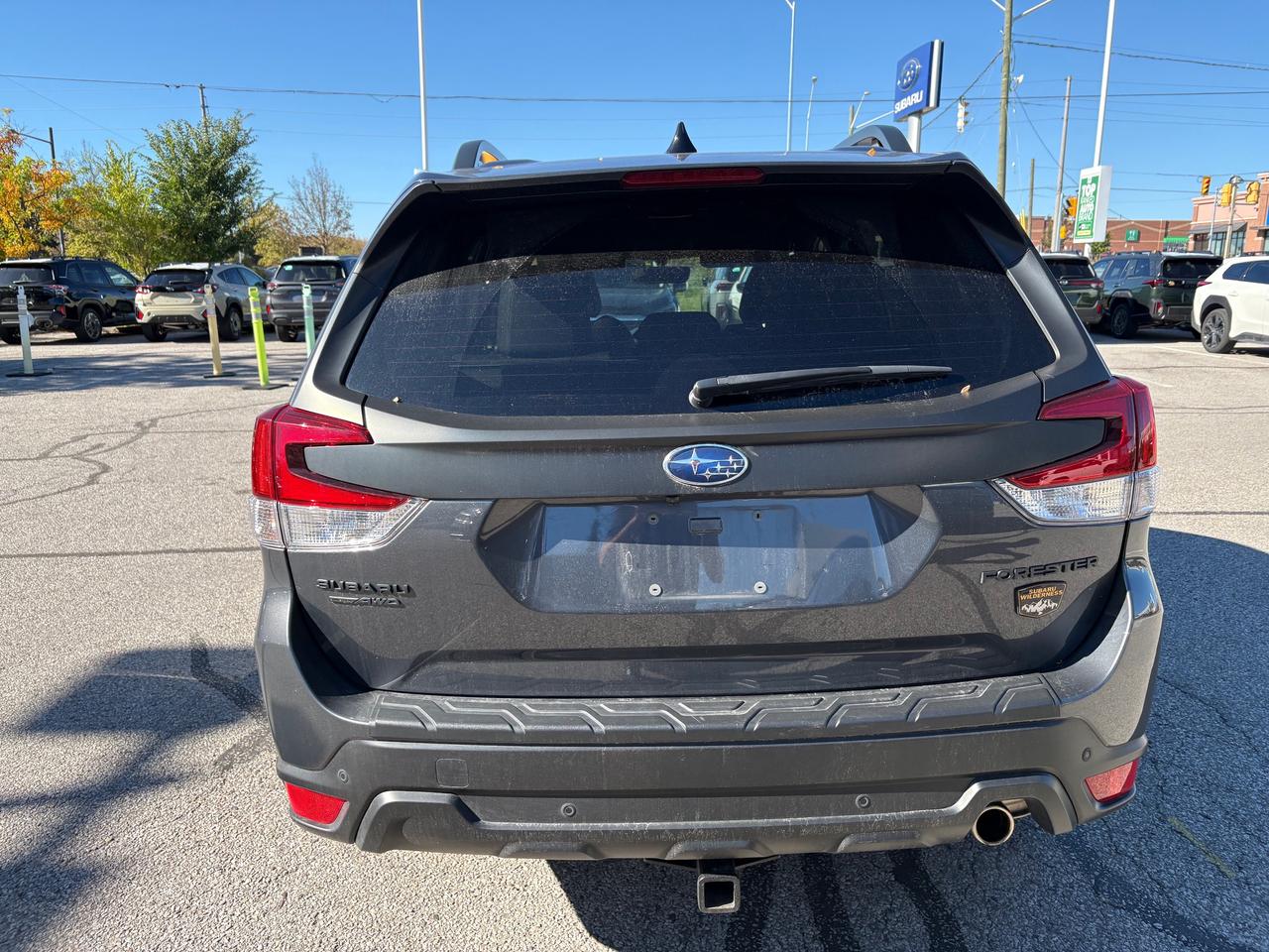 2025 Subaru Forester WILDERNESS Photo