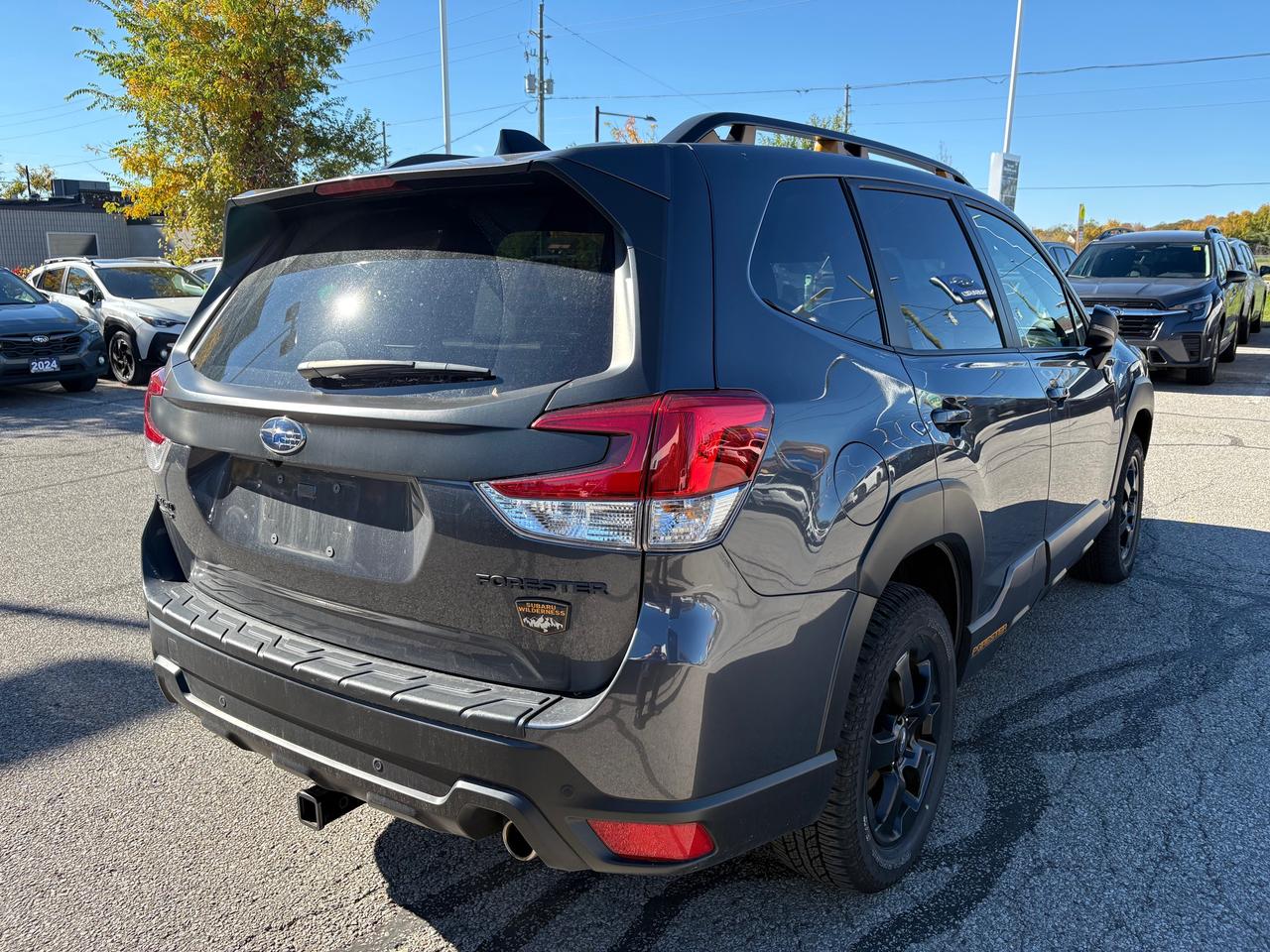 2025 Subaru Forester WILDERNESS Photo