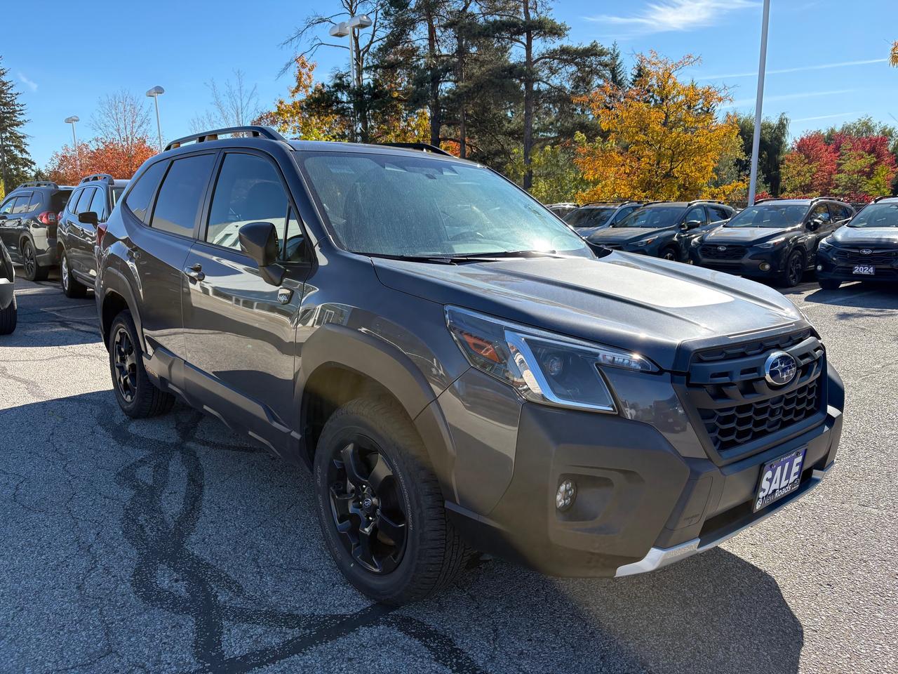 2025 Subaru Forester WILDERNESS Photo