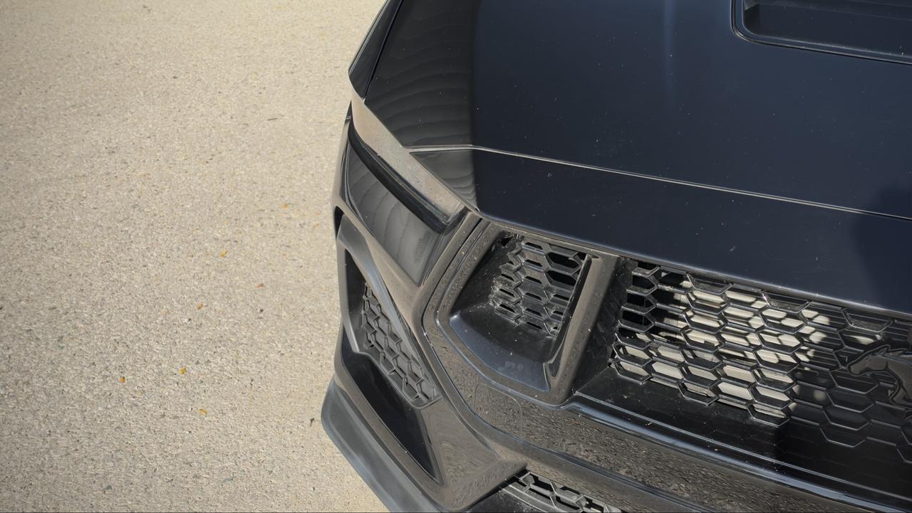 2025 Ford Mustang GT Photo