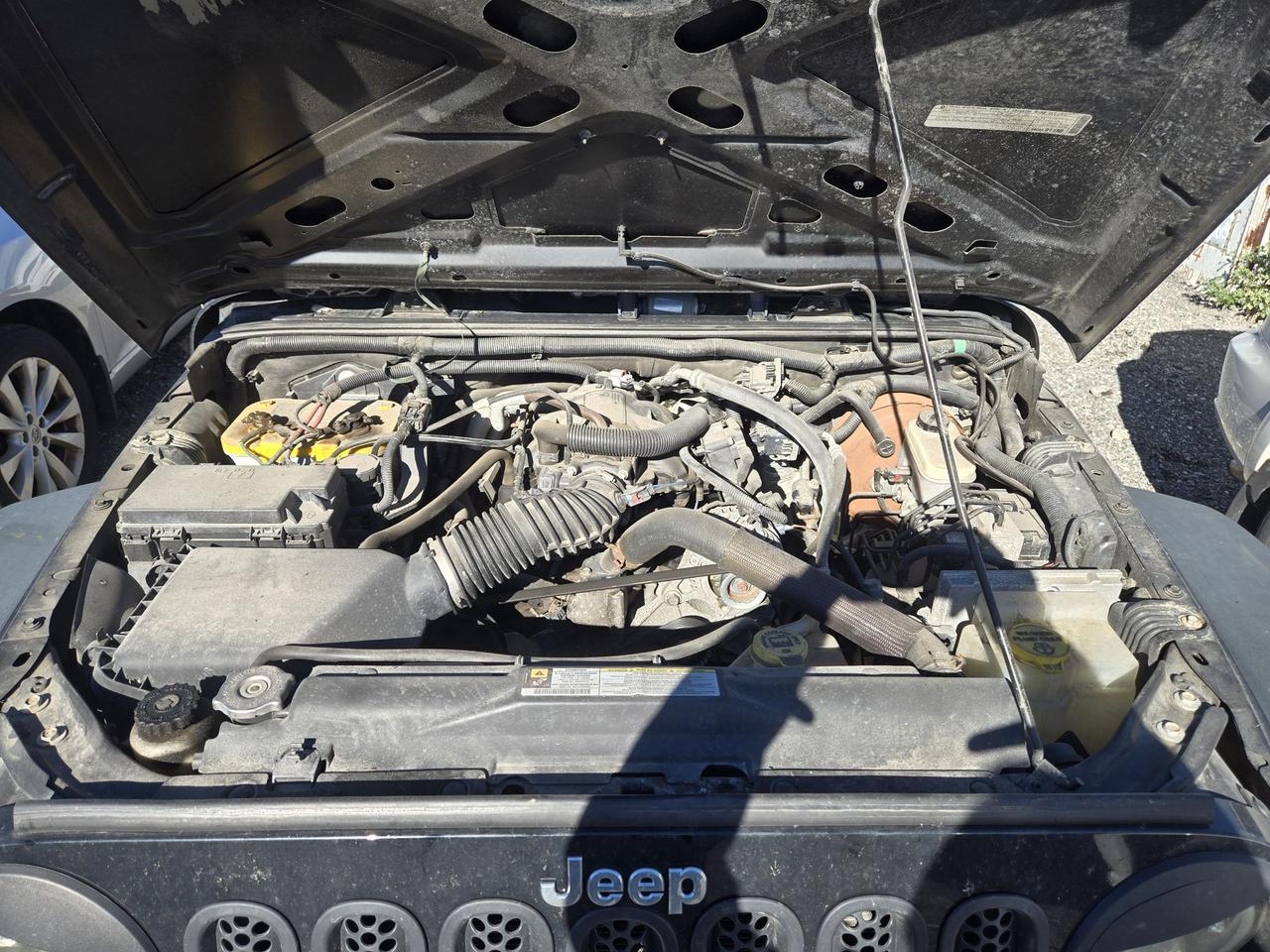 2010 Jeep Wrangler Islander Photo