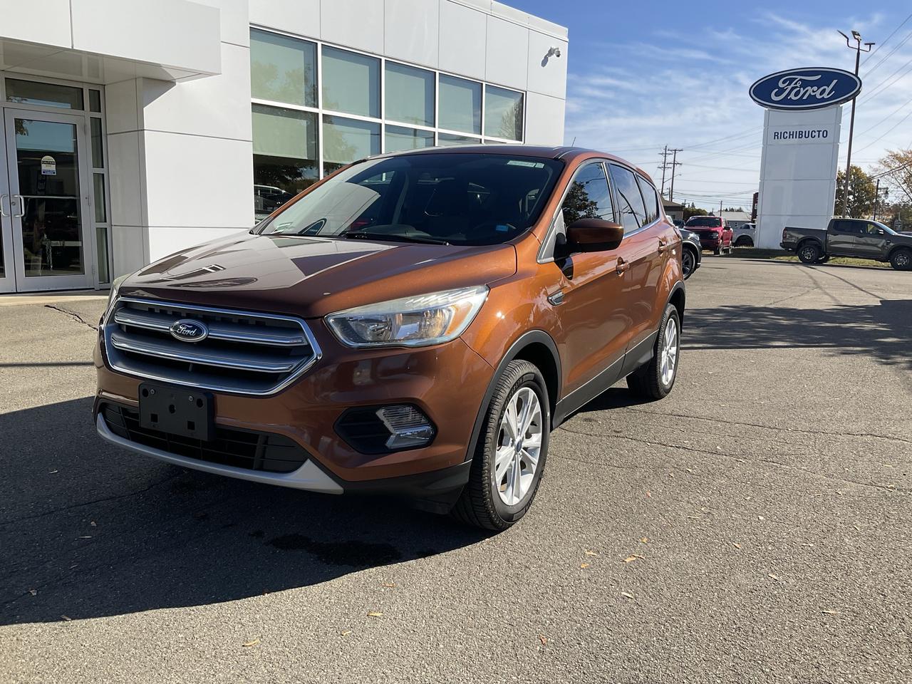 2017 Ford Escape SE Photo0