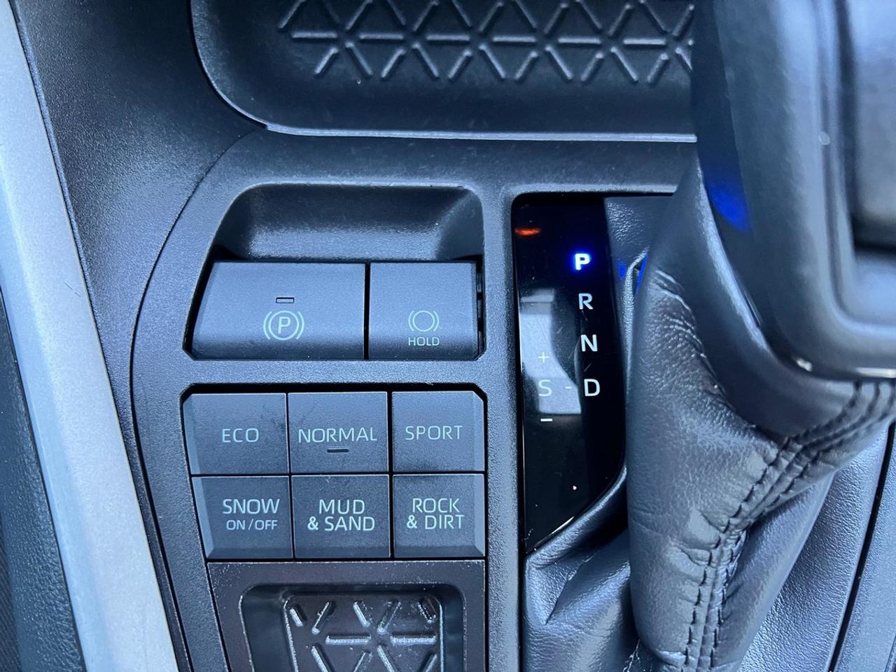 2023 Toyota RAV4 LE Photo