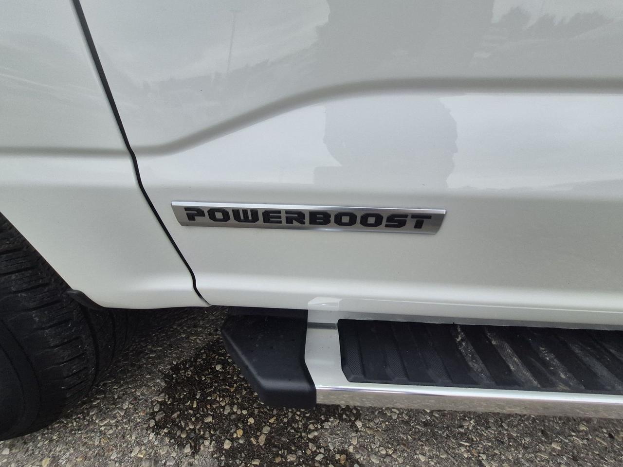 2023 Ford F-150 LOCAL TRADE! LONG BOX! POWERBOOST! FX4!360-CAMERA! Photo