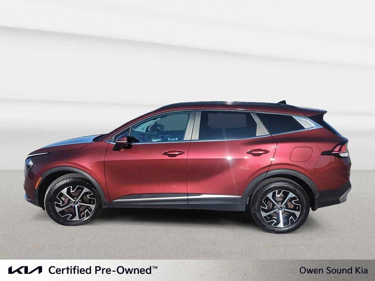 2024 Kia Sportage EX Photo2