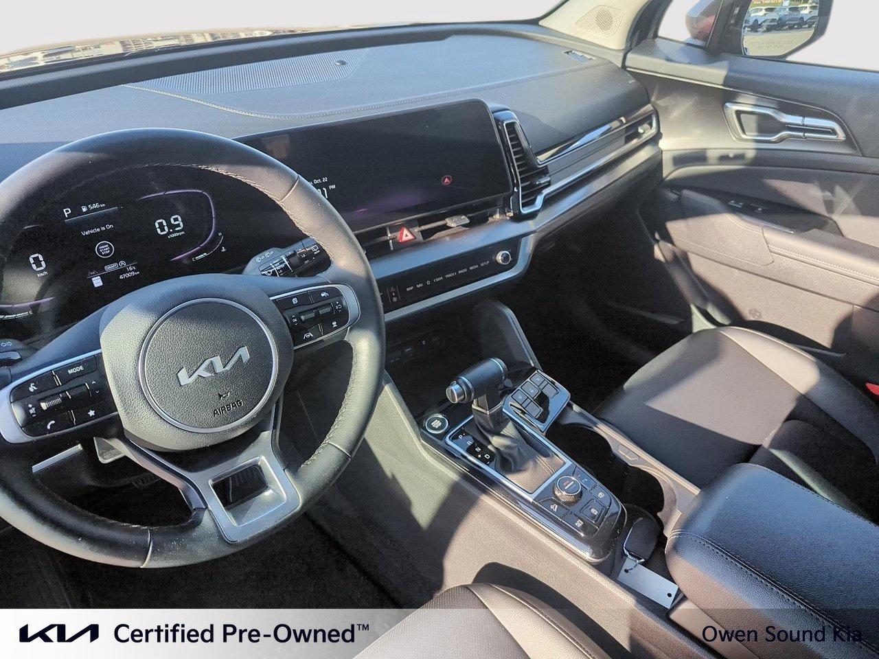 2024 Kia Sportage EX Photo