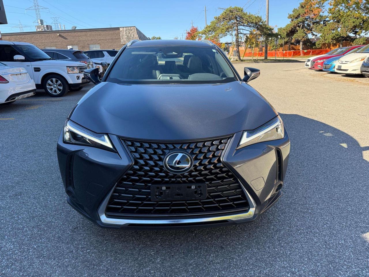 2025 Lexus UX UX 300h CVT, PREMIUM PACKAGE, NO ACCIDENT Photo5