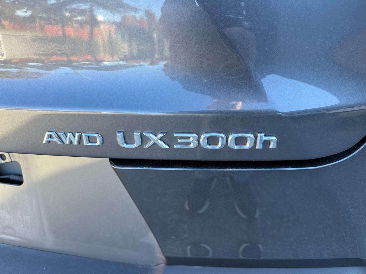 2025 Lexus UX UX 300h CVT, PREMIUM PACKAGE, NO ACCIDENT Photo